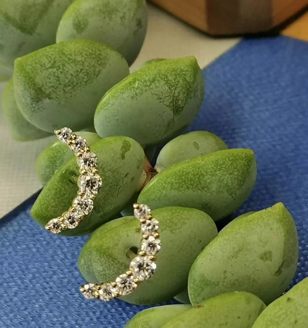 Lab Lab Grown Crescent Moon Studs