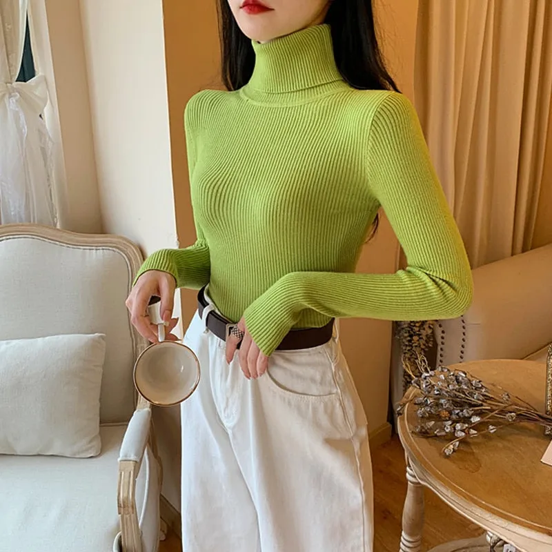 Women Long Sleeve Knitted Sweater