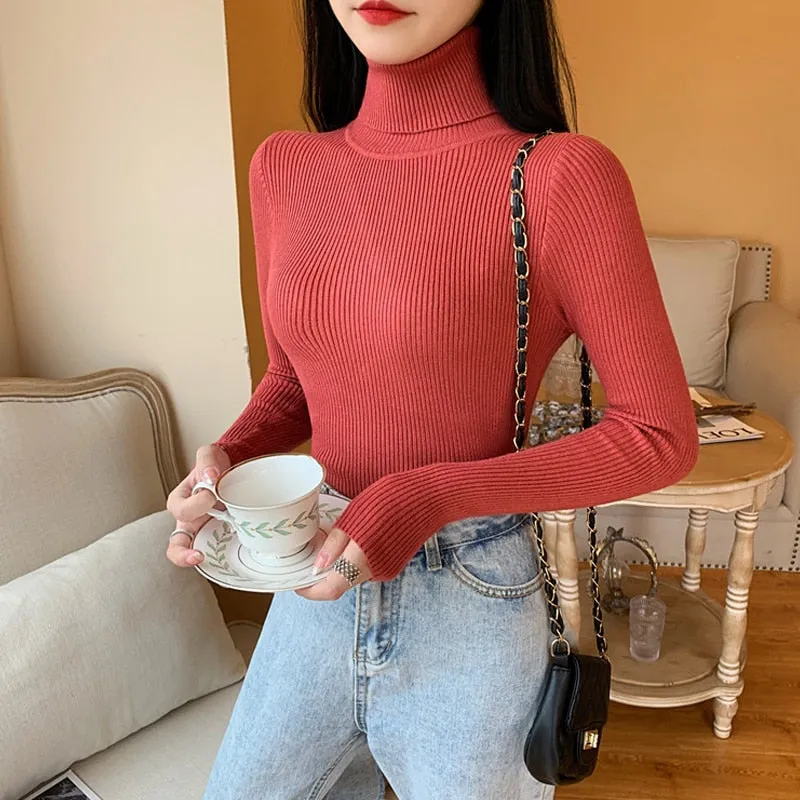 Women Long Sleeve Knitted Sweater